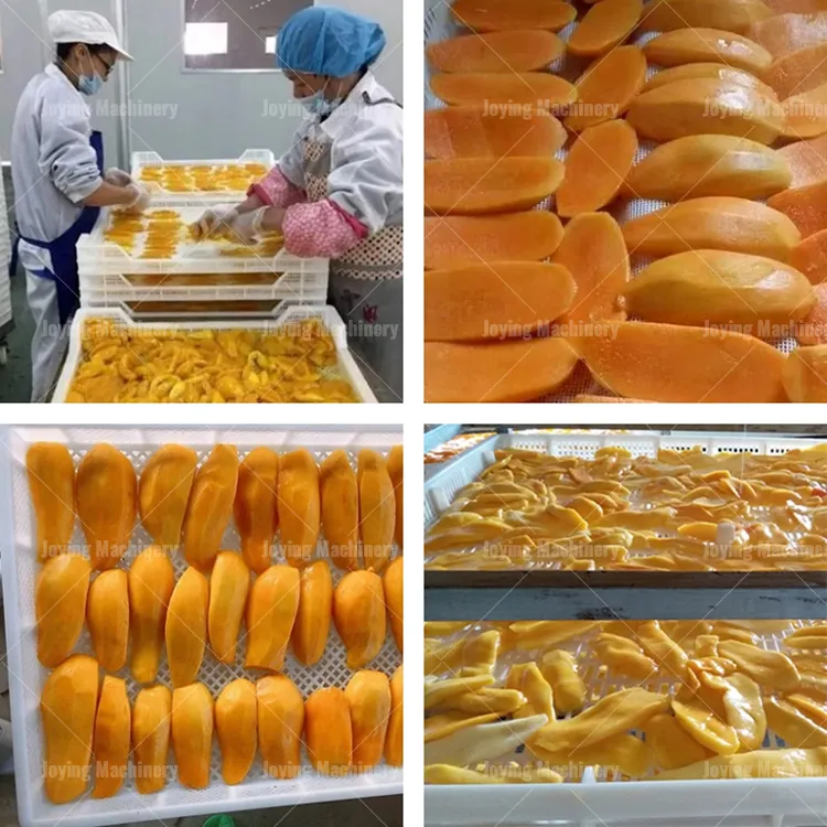 Large Commercial Dried Mango Dehydrator