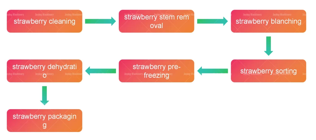 Large commercial strawberry freeze-drying machine production line process flow