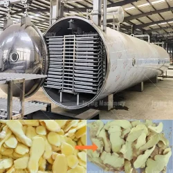 Freeze dried ginger dehydration equipment