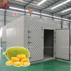Commercial jackfruit drying machine 1