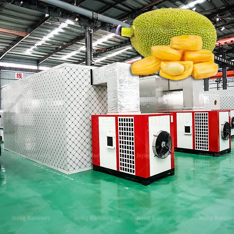 Commercial jackfruit drying machine 3