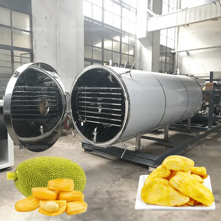 Best commercial Jackfruit freeze-drying dehydration machine 4