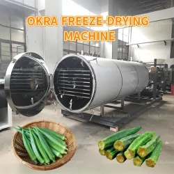 Okra freeze-drying machine 1